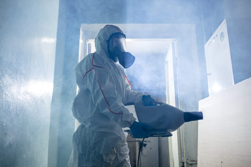 Specialist Cleaning Brighton Fogging Service 9 5