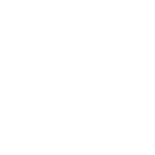 Government