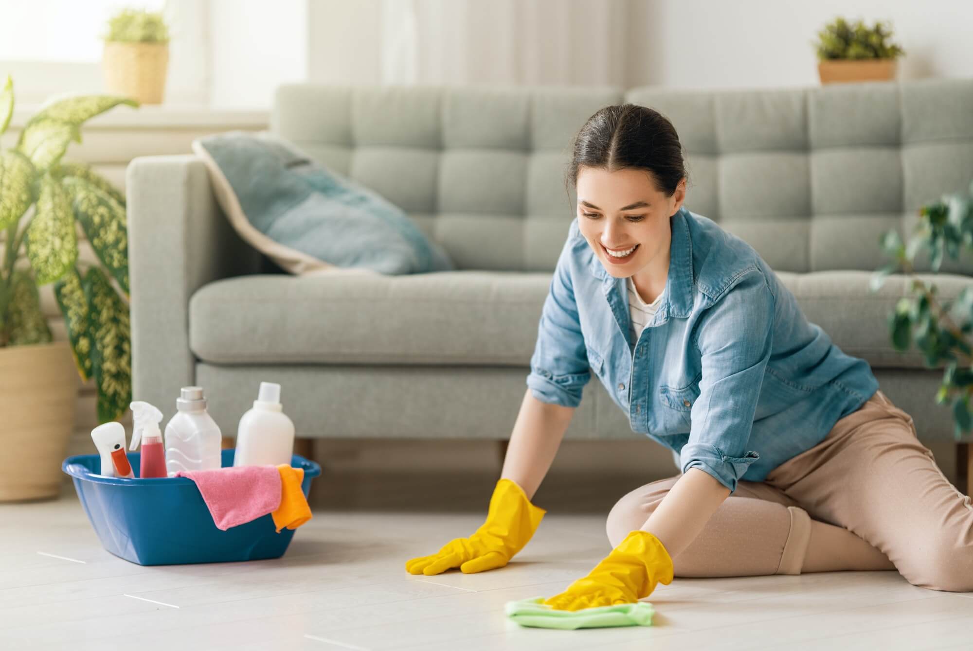 Woman Doing Cleaning The House
