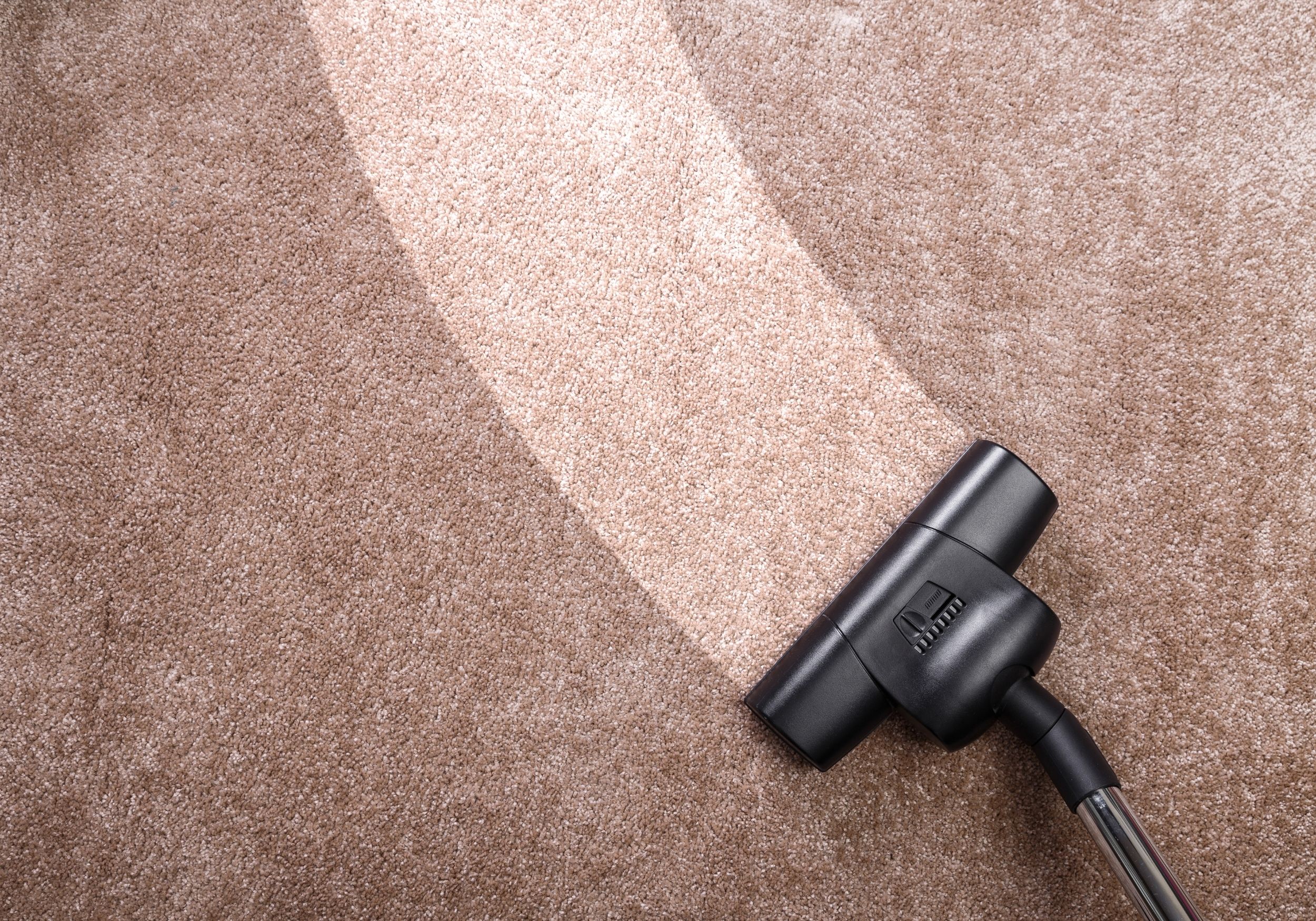 Domestic Vs Commercial End Of Tenancy Cleaning Carpet