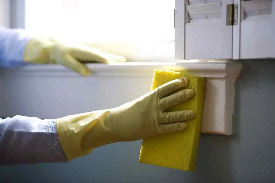 The Truth Behind Bleach Cleaning Hacks